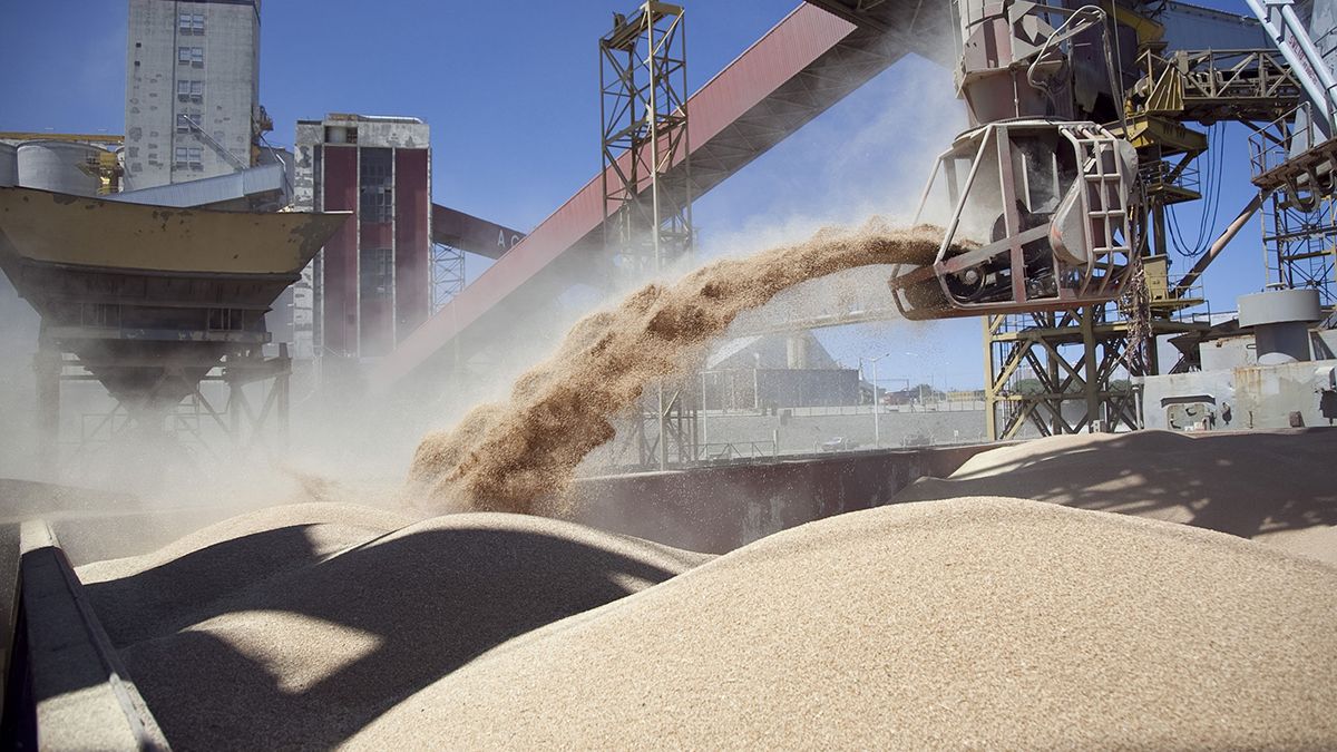 La soja pagará 7 puntos menos de retenciones, mientras las economías regionales quedarán eximidas de los derechos de exportación hasta junio