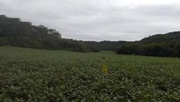 Triste final. Encontraron el cuerpo del joven de 29 años que era intensamente buscado en Tucumán. Triste final. Encontraron el cuerpo del joven de 29 años que era intensamente buscado en Tucumán.