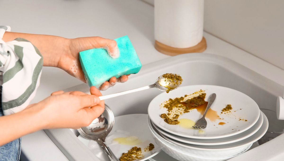 Cambia y desinfecta tu esponja de cocina con frecuencia. Cambia y desinfecta tu esponja de cocina con frecuencia. 