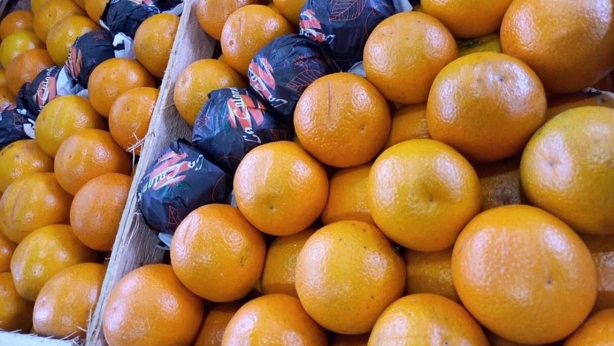 Anael Carrasco dijo que en Acceso Este quedaron el 40% de los puesteros que vendían cítricos y en Guaymallén el 55%.