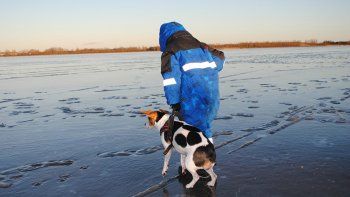 Video: Una mujer salvó la vida de su perro tirándose a una laguna helada en Rusia