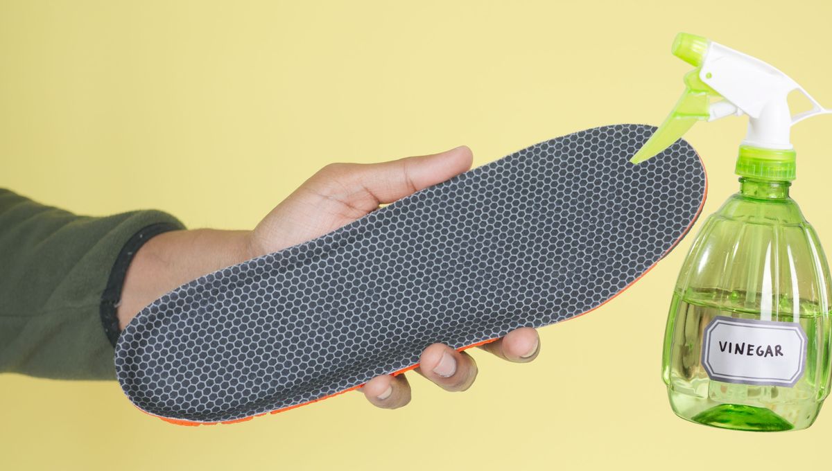 Utiliza siempre vinagre diluido o rebajado con agua para limpiar. Utiliza siempre vinagre diluido o rebajado con agua para limpiar. 