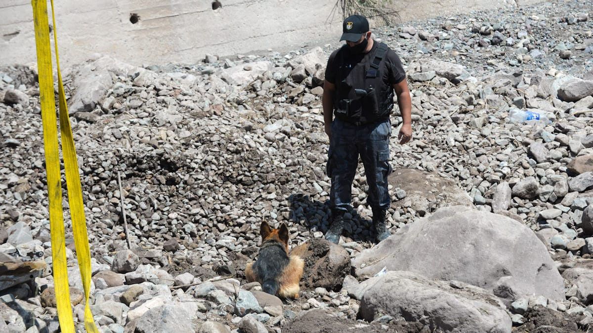 Los perros de rastro dieron algunos indicios, pero el resultado fue negativo