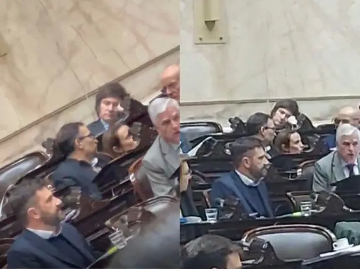 Javier Milei se quedó dormido antes de hablar en el Congreso.
