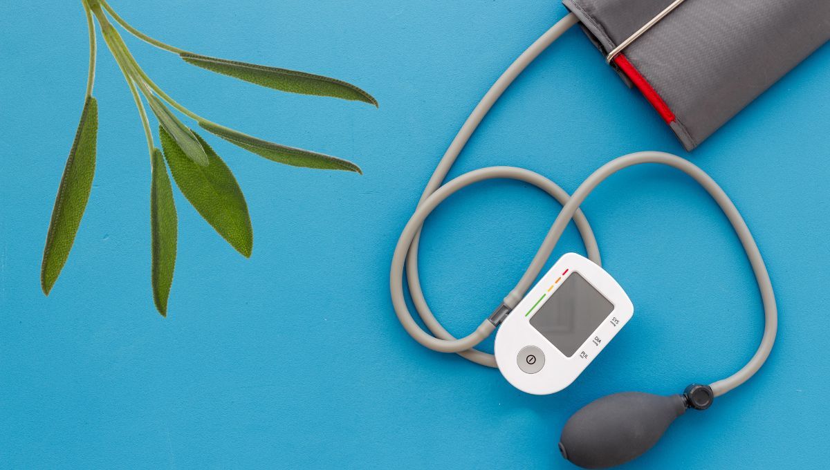 La planta que es diurética y regula la presión arterial