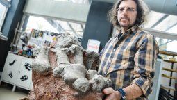 Un nuevo linaje de dinosaurios gigantes fue descubierto en la UNCuyo