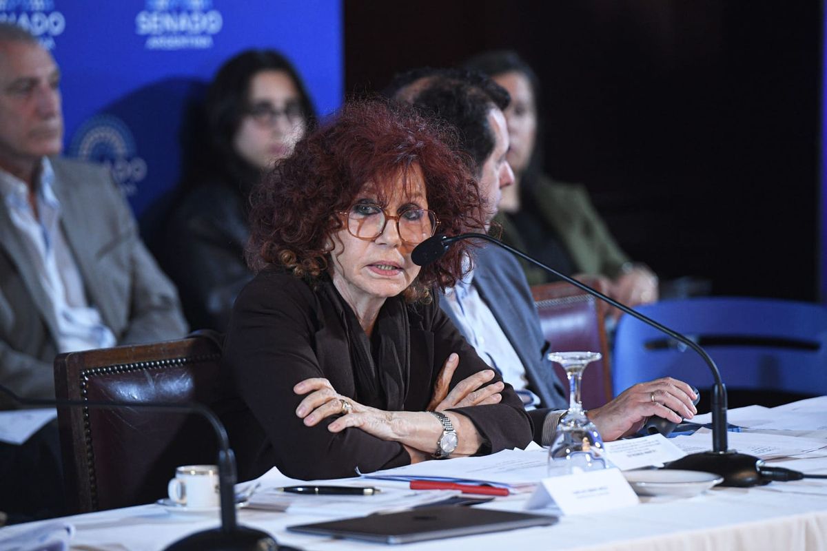 La directora de Abordaje Integral en Salud Mental, Liliana González, expuso este miércoles en comisiones los cambios propuestos a la Ley de Salud Mental. La directora de Abordaje Integral en Salud Mental, Liliana González, expuso este miércoles en comisiones los cambios propuestos a la Ley de Salud Mental.