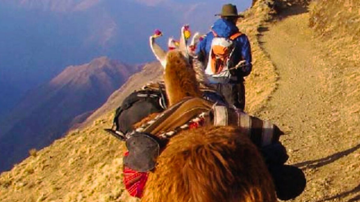 El pueblo tiene paisajes pintorescos del norte argentino. El pueblo tiene paisajes pintorescos del norte argentino.
