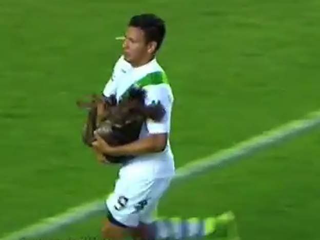 Matías Almeyda: El ingreso del perro cambió el juego