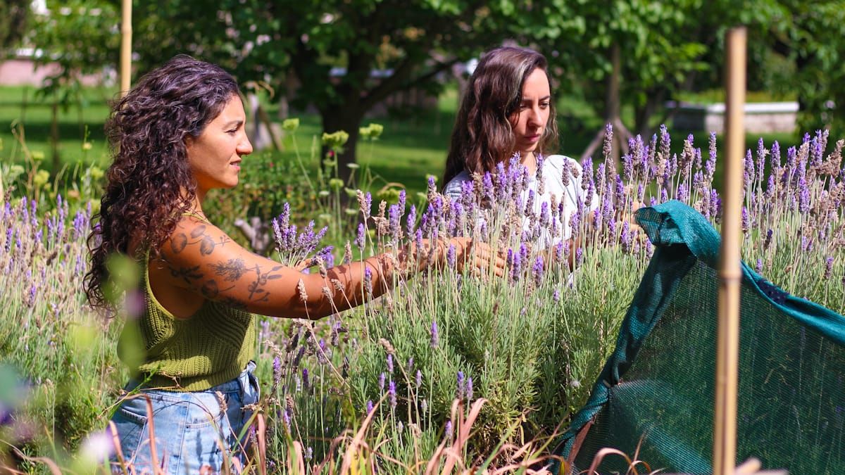Savia es un emprendimiento que fabrica cosmética natural, a base de plantas que las mujeres cultivan en sus casas de Bermejo, Guaymallén. Savia es un emprendimiento que fabrica cosmética natural, a base de plantas que las mujeres cultivan en sus casas de Bermejo, Guaymallén.