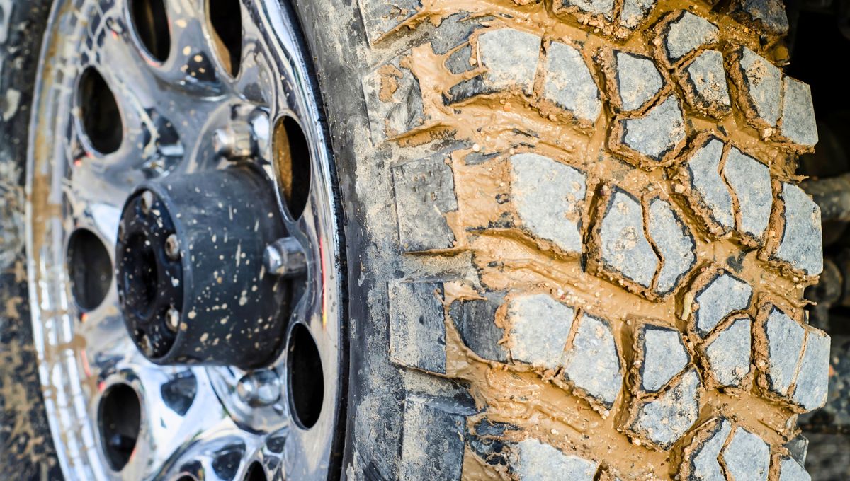 Muchos productos naturales son efectivos para limpiar el auto Muchos productos naturales son efectivos para limpiar el auto