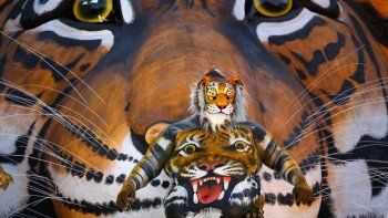 ¿