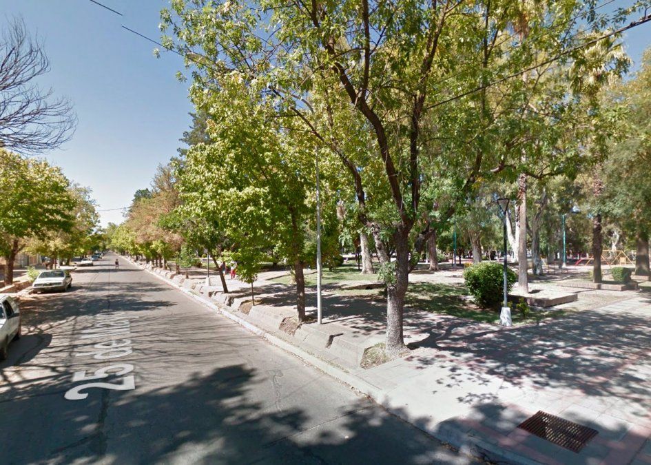 Una mujer fue mordida salvajemente por una perra callejera que defendió a sus cachorros