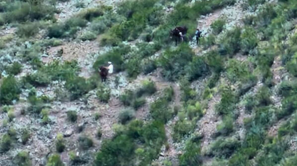 Rescate dramático en Potrerillos: una mujer se descompensó tras llegar a la cima del cerro Las Cabras