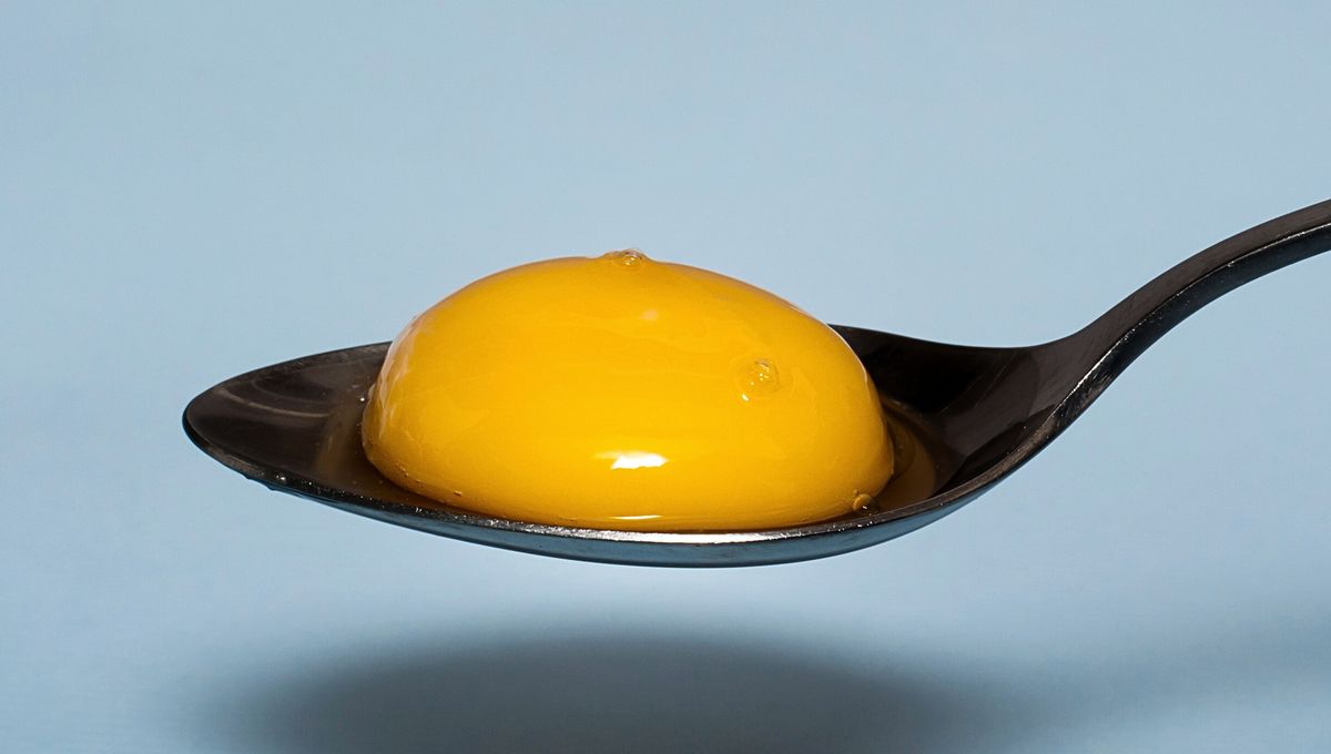 ¿Es mejor comer yema o clara de huevo?