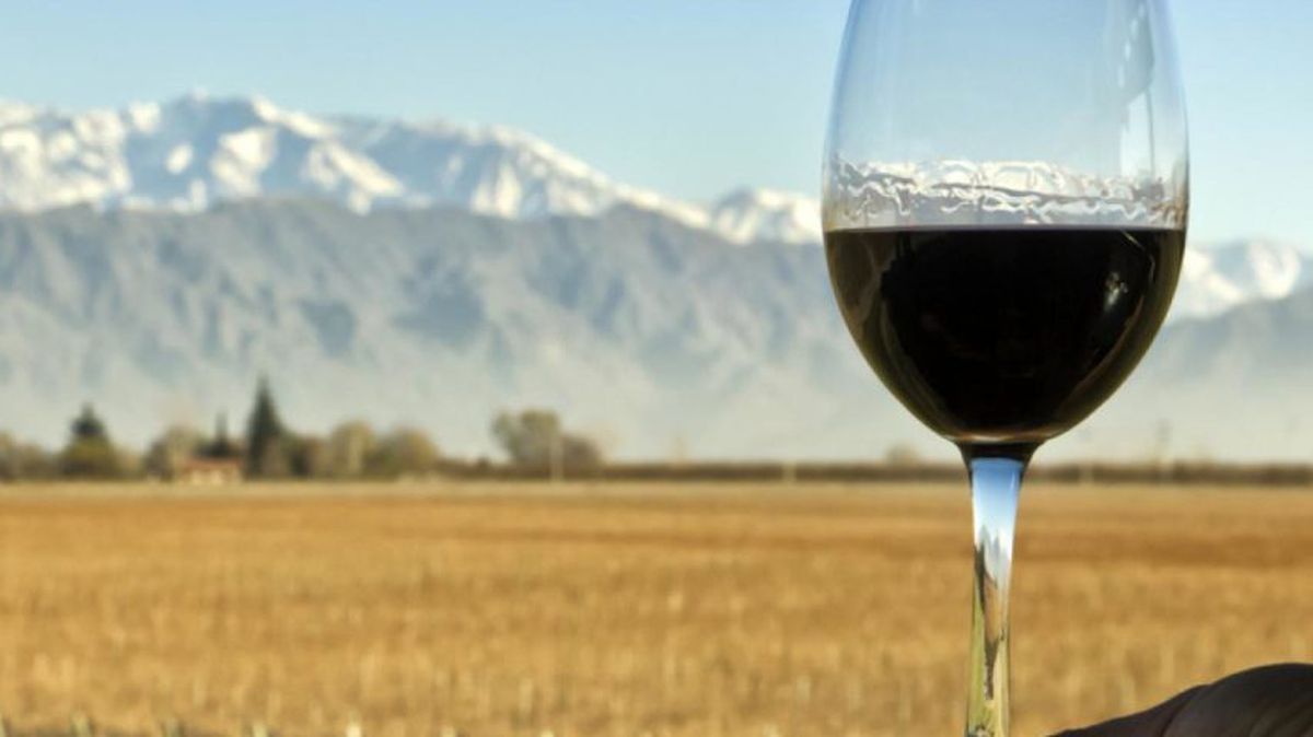 La industria vitivinícola acapara las exportaciones locales.