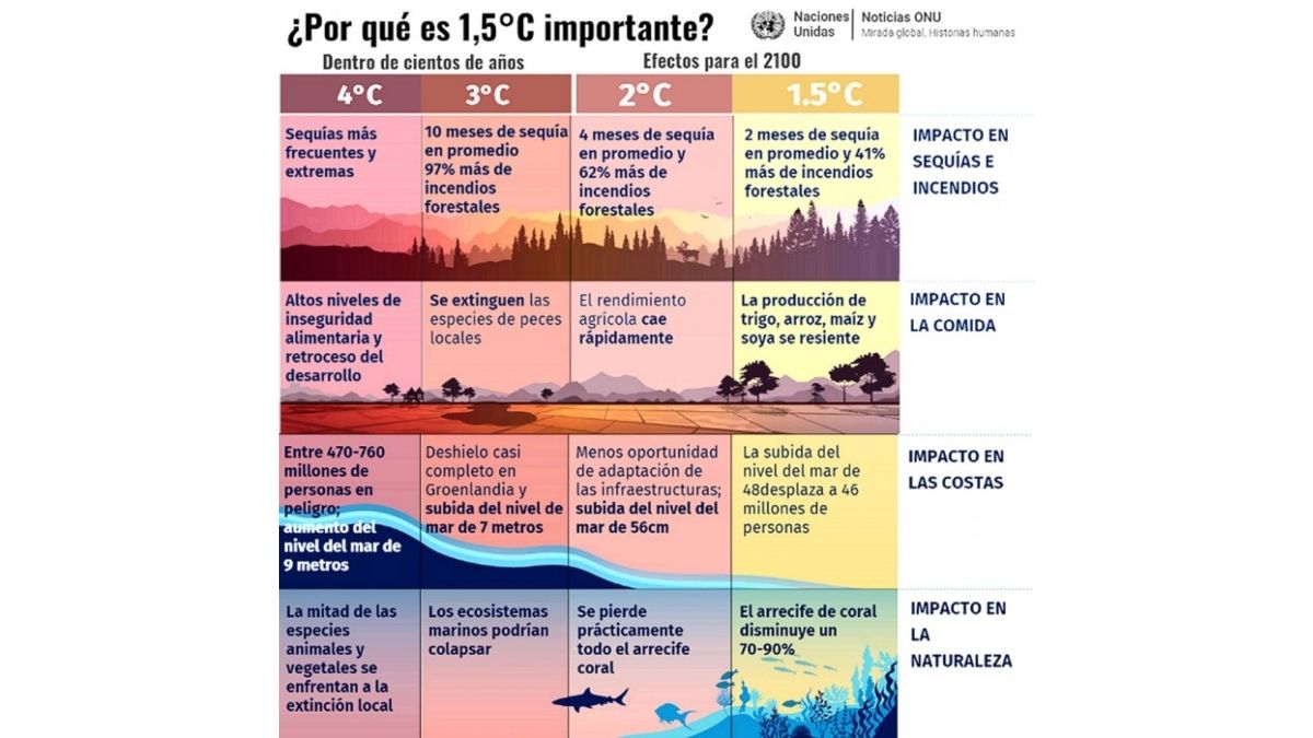 Fuente: ONU Fuente: ONU