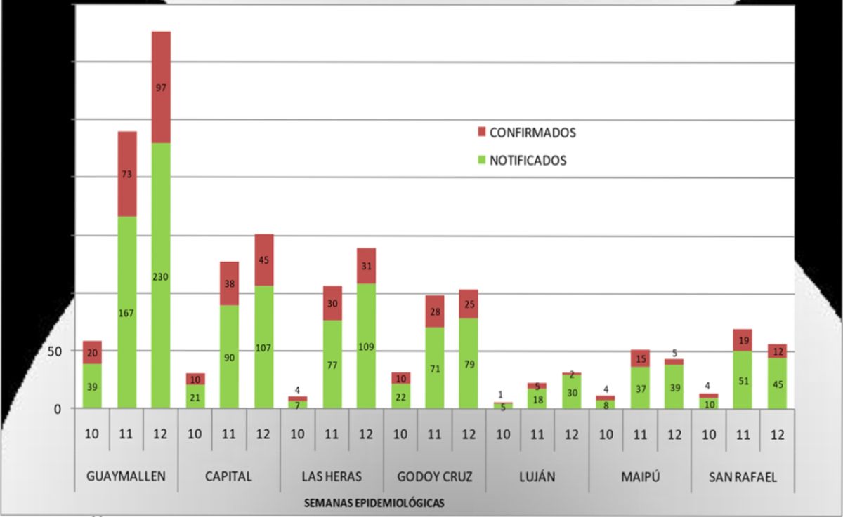 Los departamentos más poblados del Gran Mendoza muestran un aumento de casos de dengue en las últimas dos semanas. Los departamentos más poblados del Gran Mendoza muestran un aumento de casos de dengue en las últimas dos semanas.