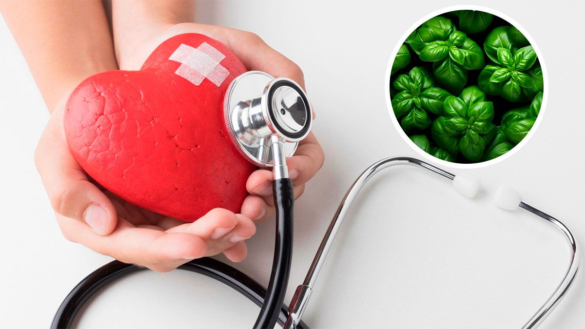 La hierba aromática que todos tienen en casa y ayuda a la salud ósea, cognitiva y cardiaca