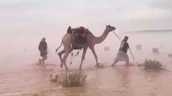 ¡Se inundó el desierto en Arabia Saudita!