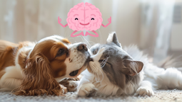 ¿Para siempre? No podrás creer cuánto tardan perros y gatos en olvidar a sus dueños