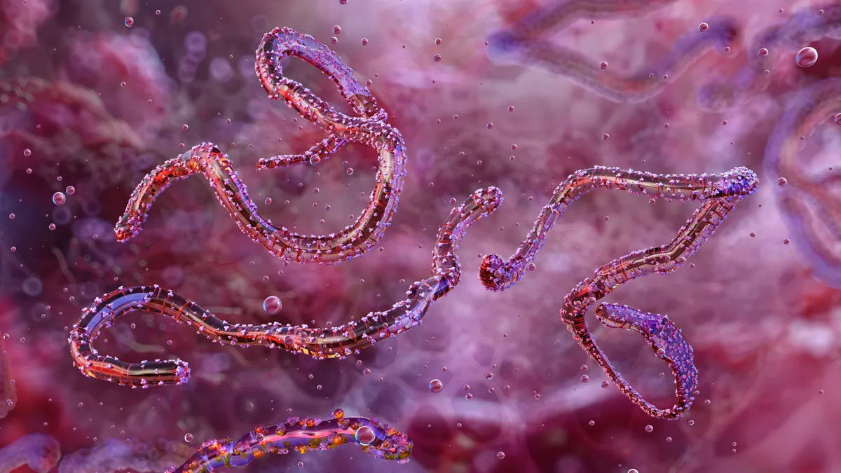 Virus similar al ébola ya genera una preocupación en el plano mundial