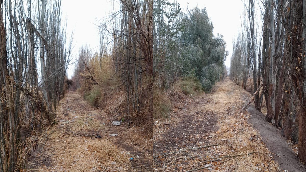 Foto ilustrativa de un campo lavallino.