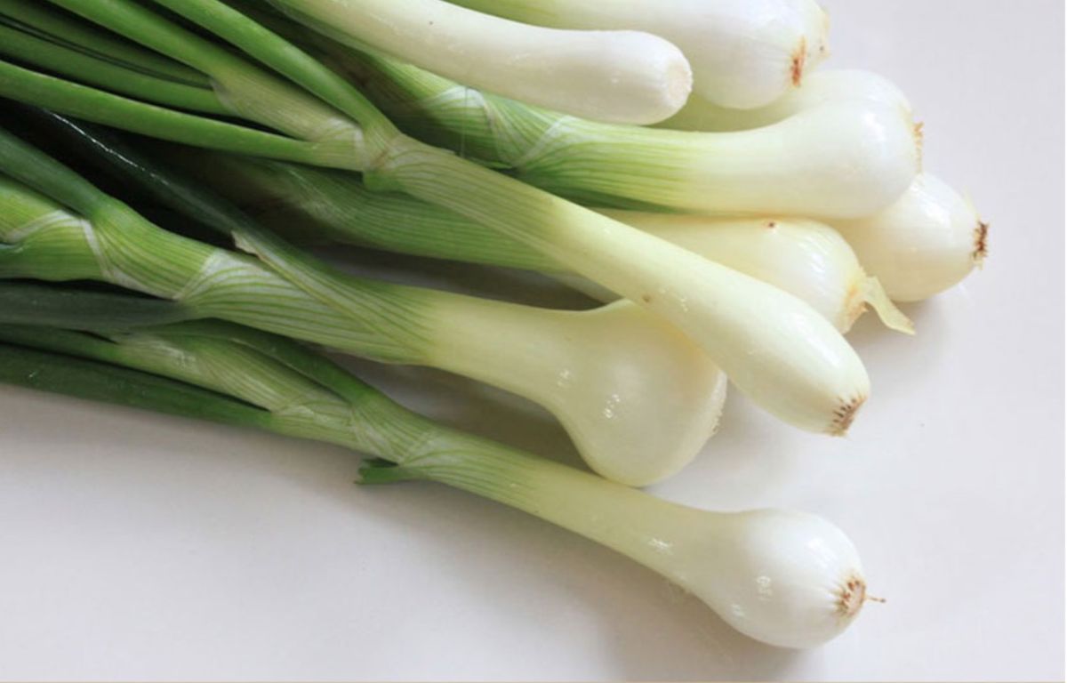 La cebolla de verdeo tienen altos niveles de vitamina C y la vitamina K, los cuales son esenciales para el funcionamiento de los huesos.