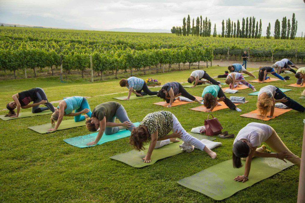 Jumbo ofrece a sus clientes el poder disfrutar durante febrero del programa Yoga por los Caminos del Vino.