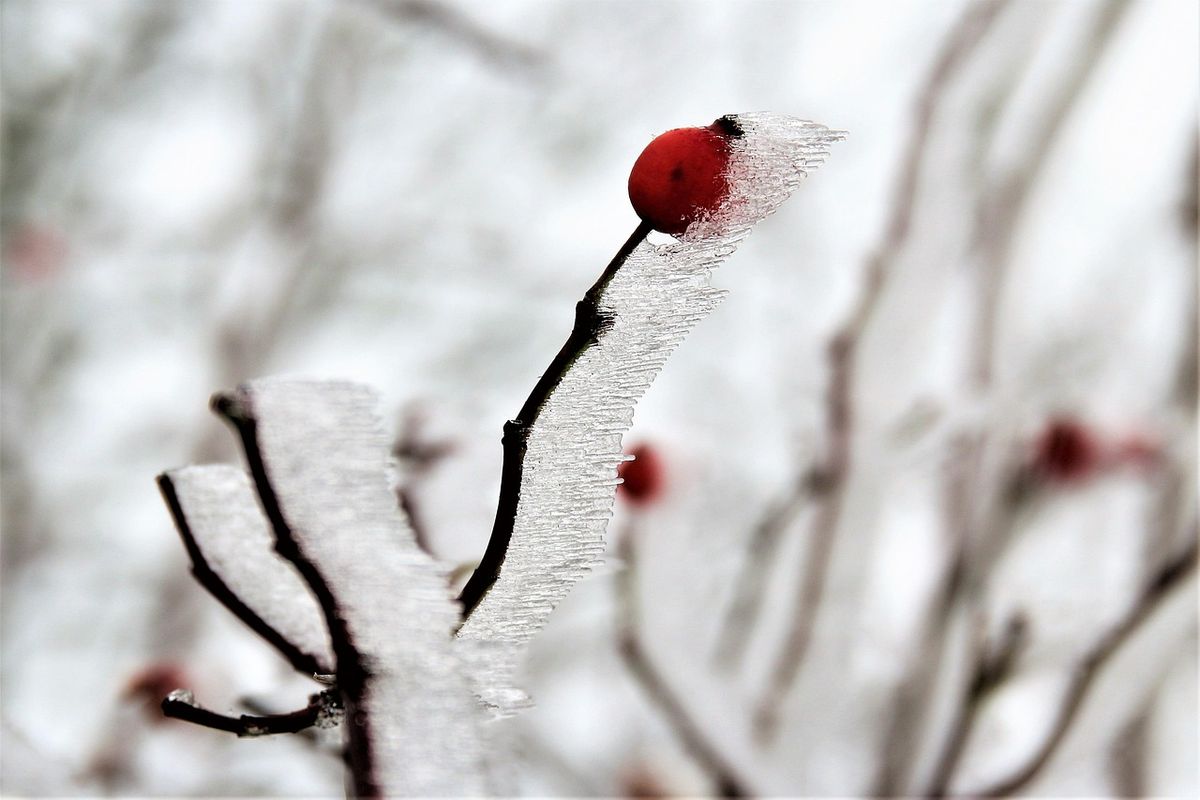 Toma las medidas necesarias para cuidarte