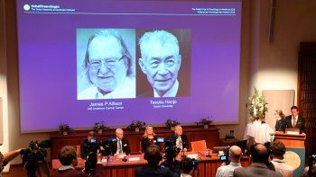 El Nobel de Medicina, para un descubrimiento contra el cáncer