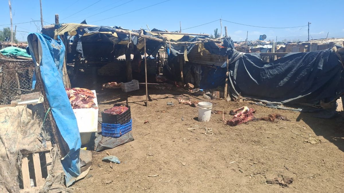 Tres hombres fueron detenidos en Guaymallén por faenar carne de caballo para su comercialización