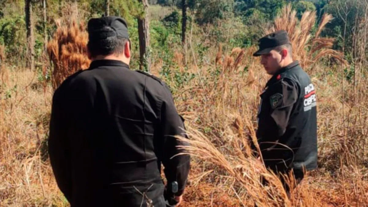 Horror en Misiones. Un hombre fue hallado sin vida