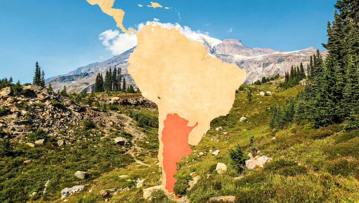 El segundo humedal más grande de Sudamérica se encuentra en Argentina: de cuál se trata
