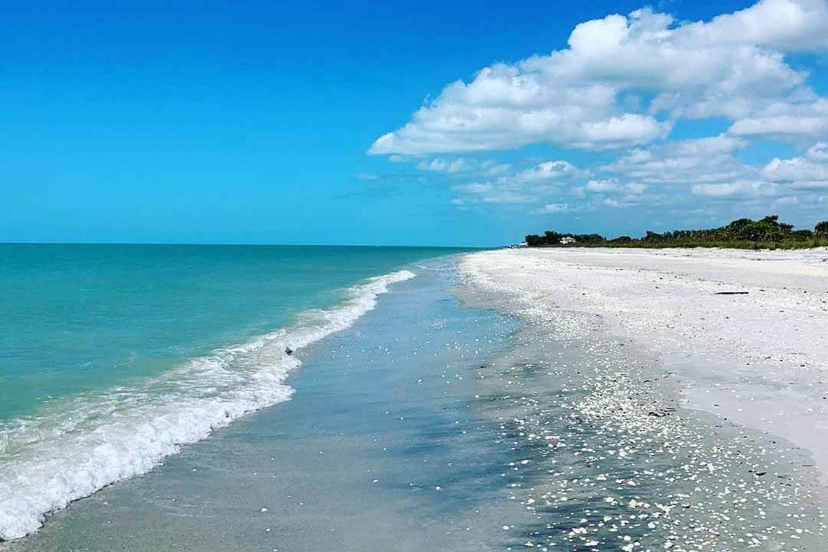 Las playas de Isla Don Pedro no tienen nada que envidiarle a las del Caribe. Las playas de Isla Don Pedro no tienen nada que envidiarle a las del Caribe.