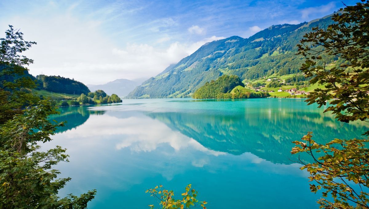 Naturaleza. Naturaleza. 