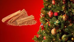 Por qué debes espolvorear canela en tu árbol de Navidad