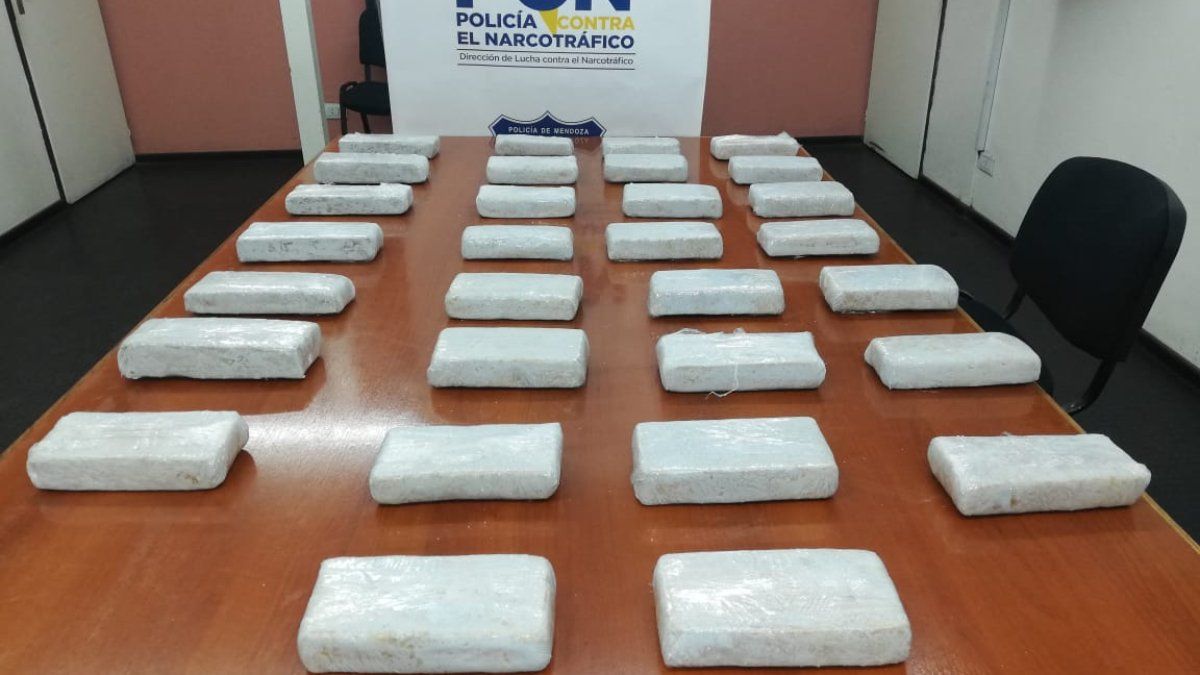 Por un llamado anónimo, detuvieron en la terminal a dos hermanos con 30 kilos de marihuana