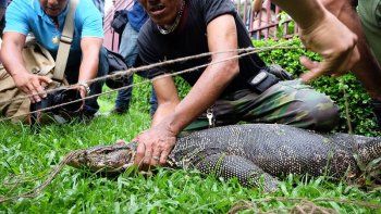 Bangkok empieza a despejar un parque de grandes reptiles