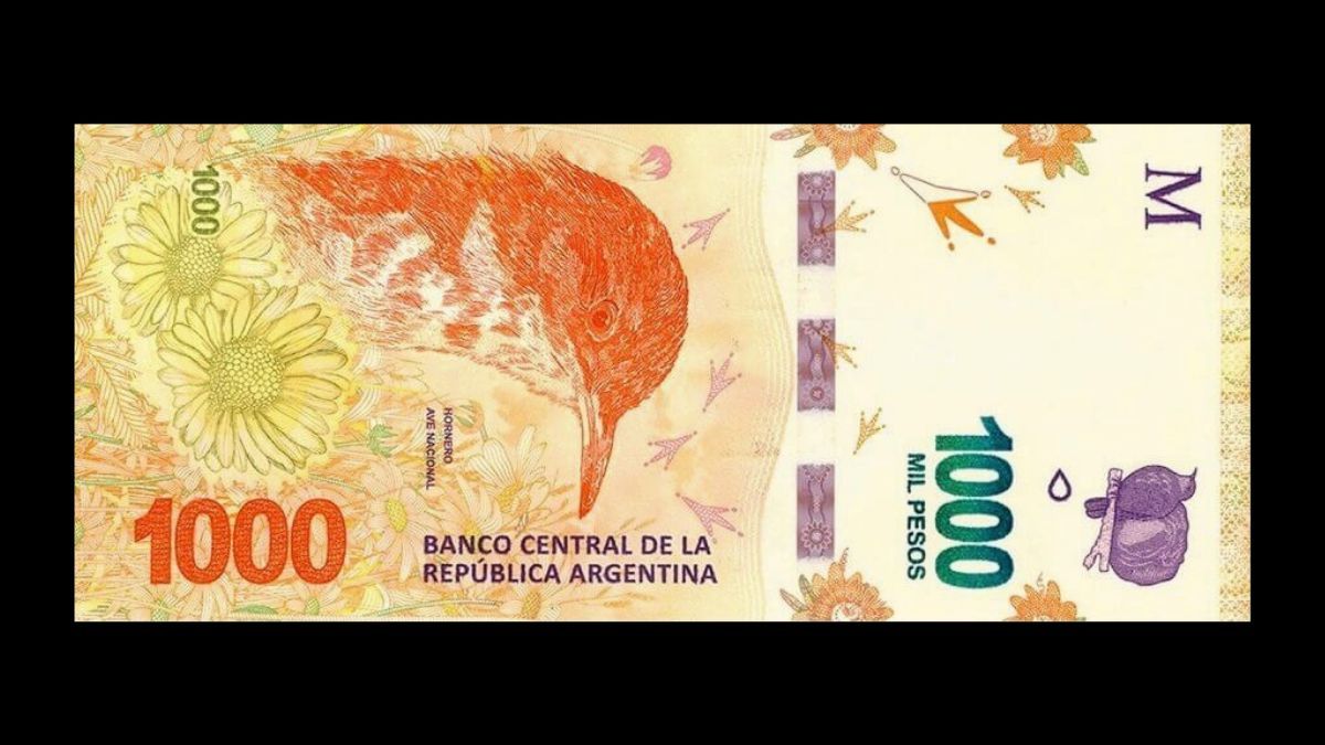 Monedas y billetes