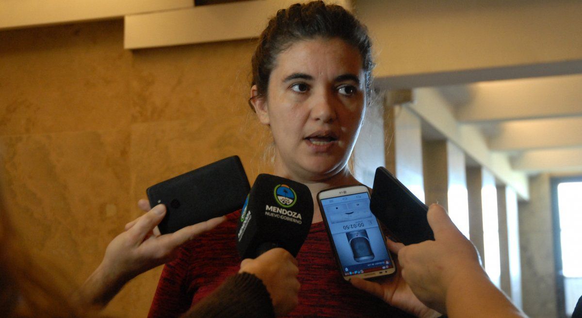 Por primera vez asignan una partida de fondos para asistir a las mujeres golpeadas