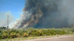 Declaran el estado de emergencia agropecuaria en Mendoza