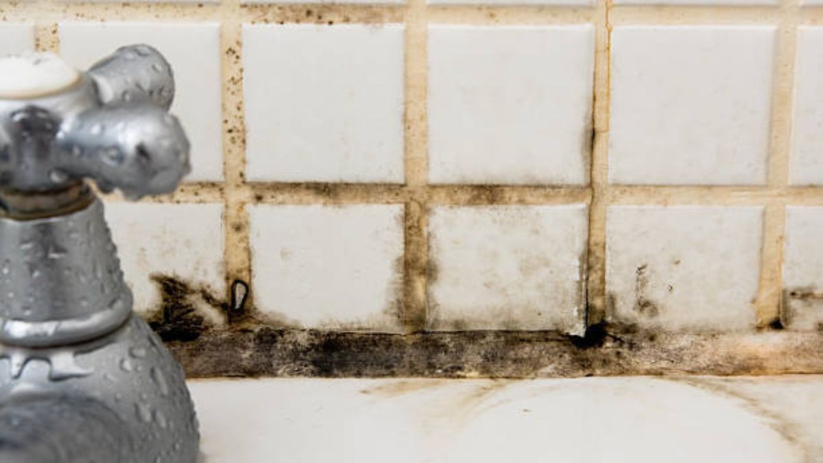 El truco viral infalible para eliminar moho y manchas negras de las juntas y azulejos del baño