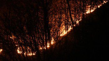 Deberán pagar una multa millonaria por provocar un incendio al hacer un asado