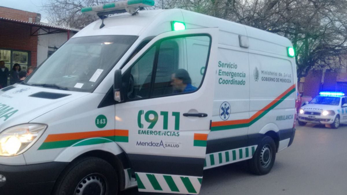 Los médicos que llegaron a la casa de la mujer, en Tunuyán, sólo pudieron constatar su muerte, luego de que le cayera encima un pesado portón metálico