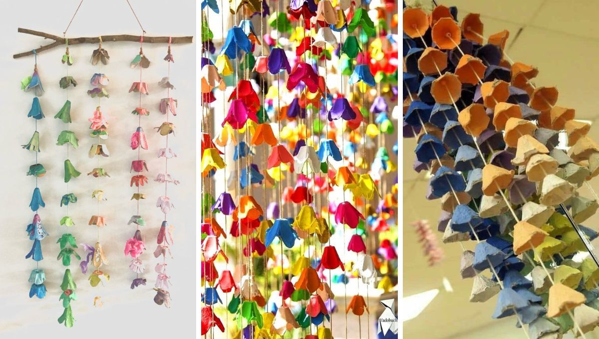 Reciclaje maple de huevos. Reciclaje maple de huevos.