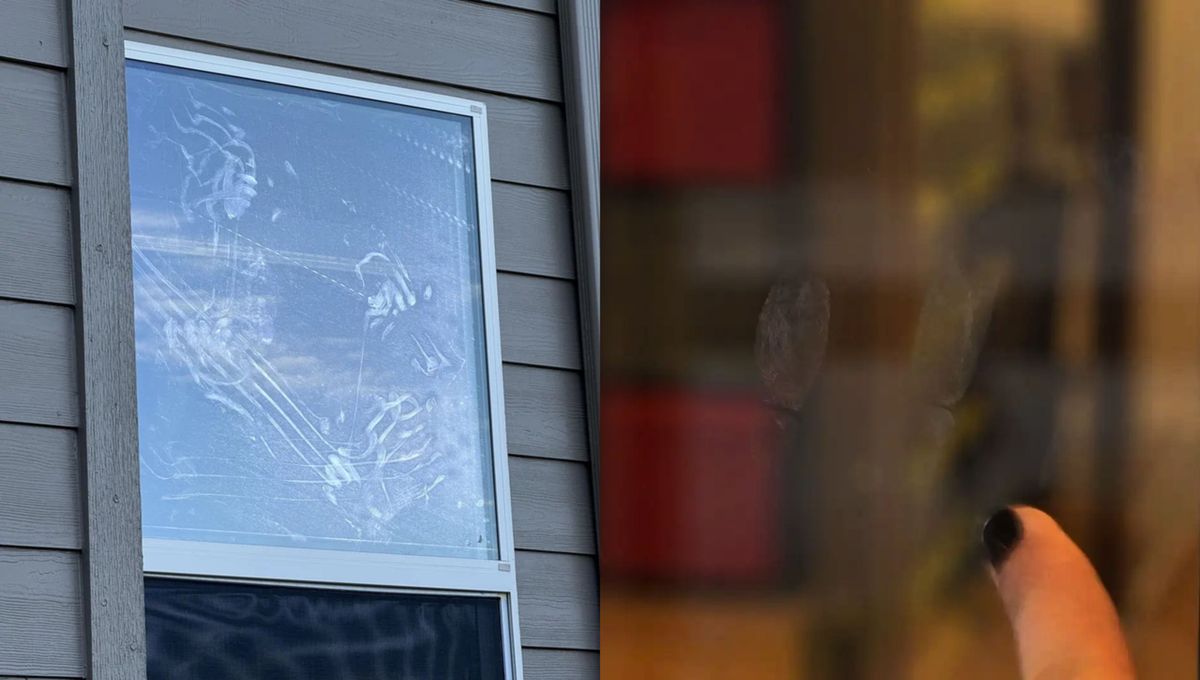 Un truco casero para limpiar manchas de dedos poco estéticas.&nbsp;