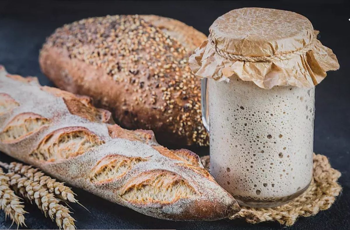 Beneficio de comer pan de masa madre. Beneficio de comer pan de masa madre.
