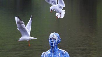 Ojo, no es el de Avatar