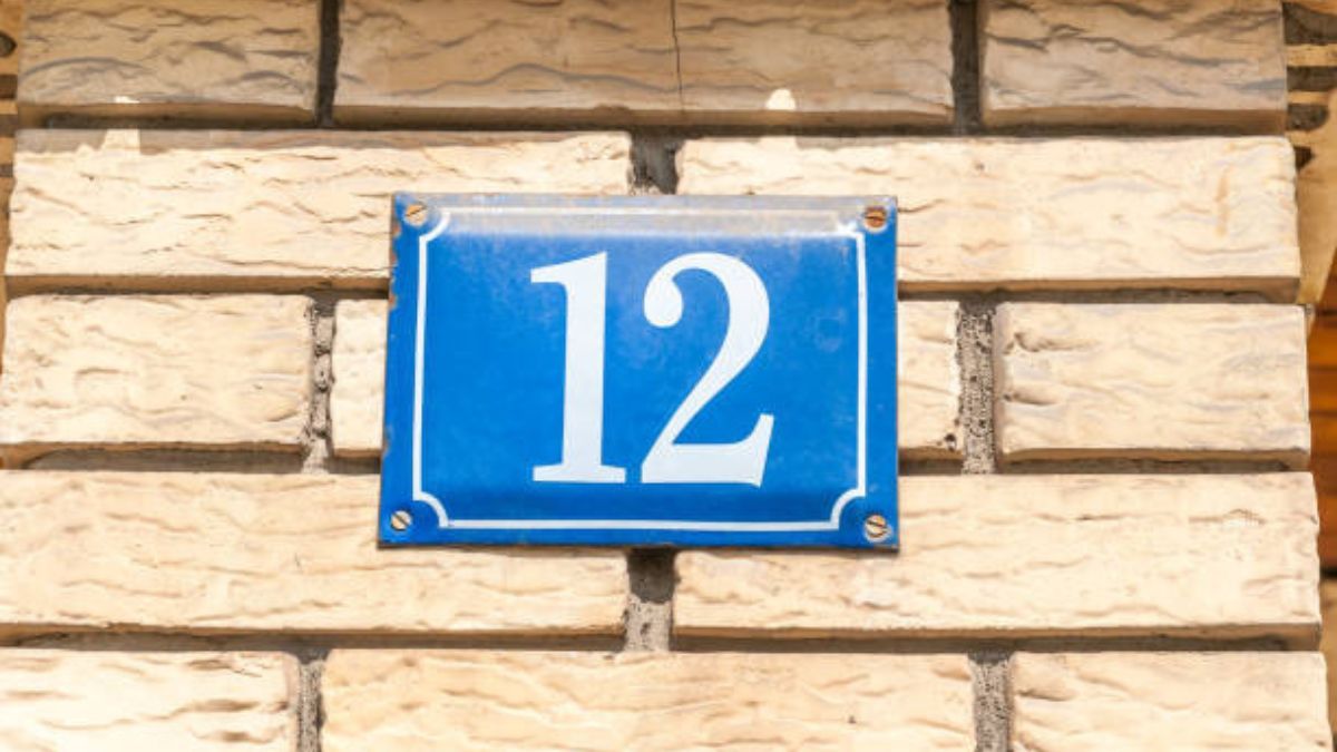 Descubrí tus números de la suerte para este 12 de diciembre. Descubrí tus números de la suerte para este 12 de diciembre.